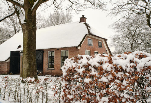 Is uw rietgedekte woning al klaar voor de winter? 