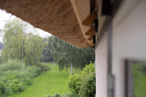 Natte en droge periodes in Nederland – hoe onderhoud je je rieten dak?