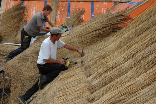 Subsidie aanvragen voor rieten dak wordt makkelijker