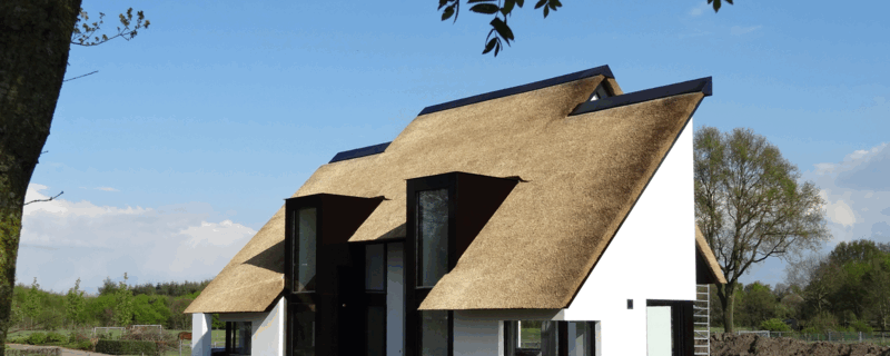 Welke factoren hebben een (positieve) invloed op de levensduur van uw rieten dak?